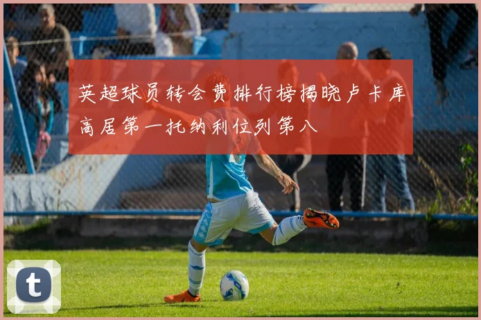 英超球员转会费排行榜揭晓卢卡库高居第一托纳利位列第八