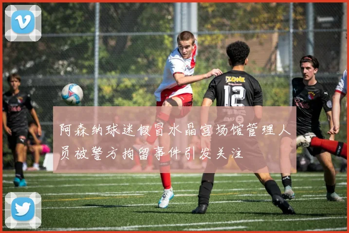 阿森纳球迷假冒水晶宫场馆管理人员被警方拘留事件引发关注